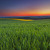 Artwork for PrinceYusukeRAMID - Twilight Fields
