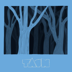 Tarn - Woodz