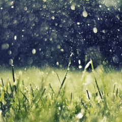Summer Rain (Kondor Remix)