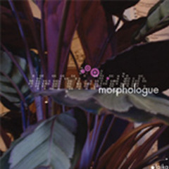 Morphologue - As One