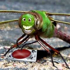 Hard style shuffle jump style - Dj Bug