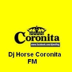 Dj Horse Coronitafm @ szét csúszva mix Dj Horse (20110 28)
