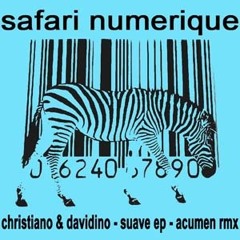 Christiano & Davidino - Perfidious Original Mix - Safari Numerique 001