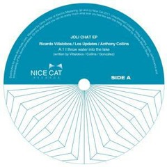 Villalobos, Collins, Los Updates - I Throw Water Into The Lake (Davide Benedetti Remix) - Nice Cat!