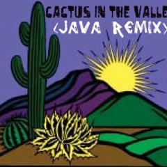 LIGHTS- Cactus In the Valley (JAVA Remix)
