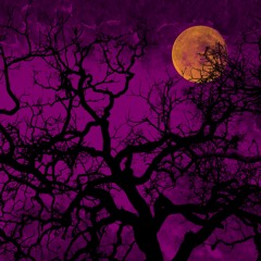 Chryophase - Hallows Eve Under a Blood Moon (Oct 2011)