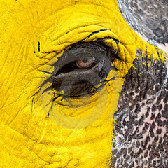 GODS 2011 finished track