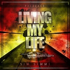 Paleface ft Simi Simi - Living My Life (DJ Q Remix)