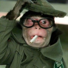 Capital Monkey - Synesthesia