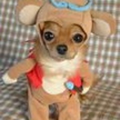 ˙·٠•●ૐ●•٠·˙