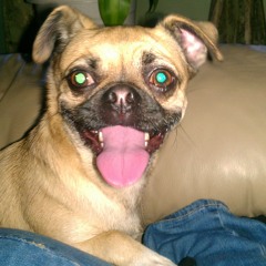 Lui-G Ft Chyno Nyno,Nengo Flow & Dalmata - Undergraund 4 live (Official Remix