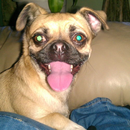 Lui-G Ft Chyno Nyno,Nengo Flow & Dalmata - Undergraund 4 live (Official Remix