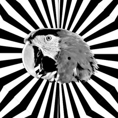 ParrotHeadz - Mob Rules The Nonsense
