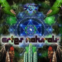 Urucubaca - Artes Naturais