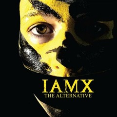 IAMX - Lulled By Numbers (Pourtex rework)