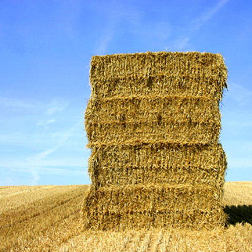 I cryed in the haystack on my own because you were gone  [[FREE DOWNLOAD]]