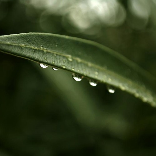 Gotas de Agua