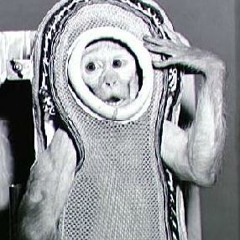 Bha selecta