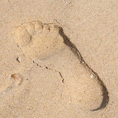 Bước Ngày Đầu