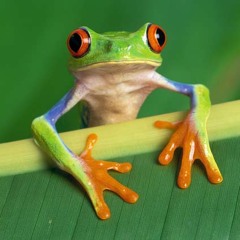 Tree Frog (Feel So Real Mix)