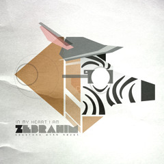 Zebrahim - Pakistan (Feat. Aaron Hardin)