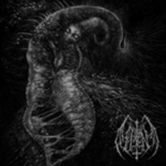 ILL OMEN - Decrepit Heart of the Shadow-Sun