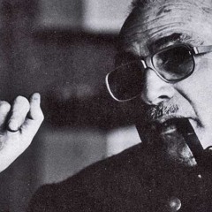 Osewoudt - Nachtvlinder