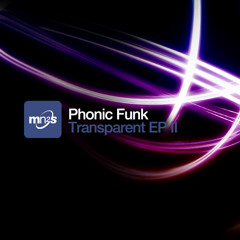 Phonic Funk - Be With You