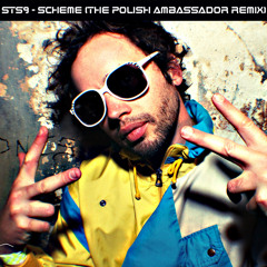 STS9 - Scheme (The Polish Ambassador Remix)