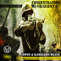 Awon & Kameleon Beats - Black In America RMX