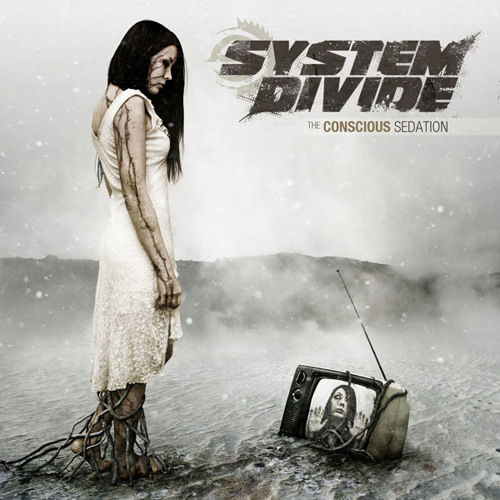 system-divide-the-apex-doctrine