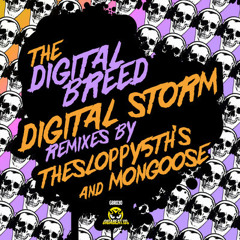 Digital Breed - Digital Storm (Mongoose Glitch Hop remix) 128 kbps