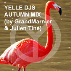 YELLE DJS - AUTUMN MIX (by GrandMarnier & Julien Tiné)