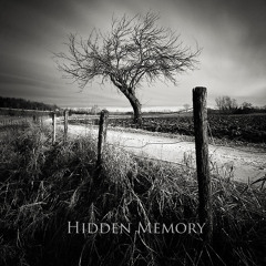 Sebaiamusic - Distance And Disember (HIdden Memory - EP - 2011)
