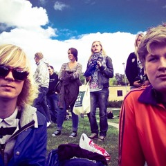 Årtusendefalken - Tusen nålar