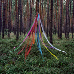 Apakah yang terjadi saat pagi datang