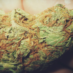 BUSH CHEMISTS VS CAPLETON - NUH STOP WE DUB ( M. SATIVO - RMX)