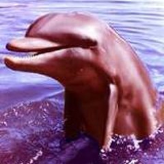 Music Master (2003): Right From Wrong