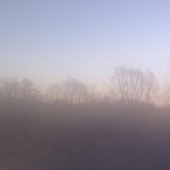 青木晋太郎