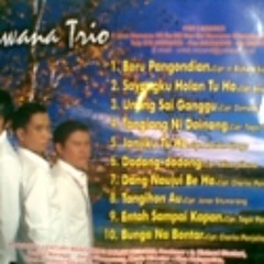 Nirwana Trio - New Hunter