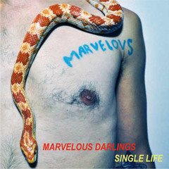 MARVELOUS DARLINGS / Teenage Targets