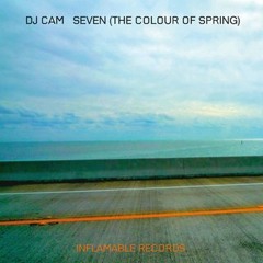 DJ Cam - Seven