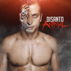 DiSanto - Animal