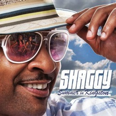 07. Fired Up (Fuck The Rece$$ion) Shaggy - Summer in Kinstong