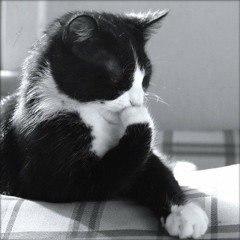 16 Farklı Şarkıcıdan   İzmir Marşı  Süper FM Cumhuriyet Bayramı Özel 2011