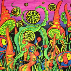 The Psychedelic CommUnity ~Prog Psy~