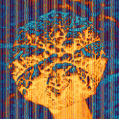 ASTROPHYTUM ASTERIAS