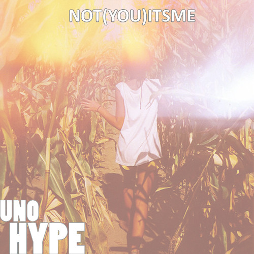 Uno Hype - Not You It's Me (Lofticries)