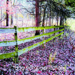 Dog Homogenization - (track 4 clip) - from CAT-8 - s/t 2007