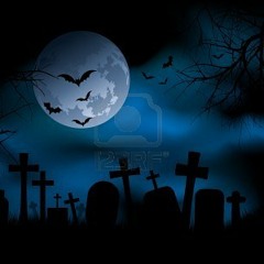 Ced und Gecko - In der Nacht